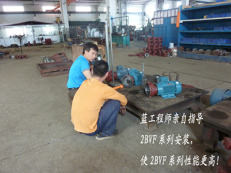 佛真工程師親自指導(dǎo)2BVF水環(huán)式真空泵的安裝，嚴(yán)格的安裝要求對(duì)水環(huán)式真空泵性能提高有著重要的作用